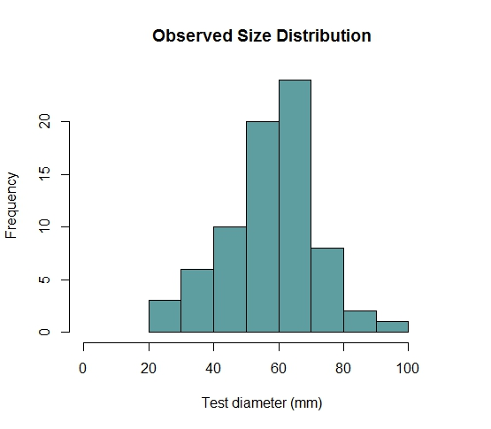 Size frequency distribution of Strongylocentrotus droebachiensis at Elliott Bay Marina Breakwater in November 2014.