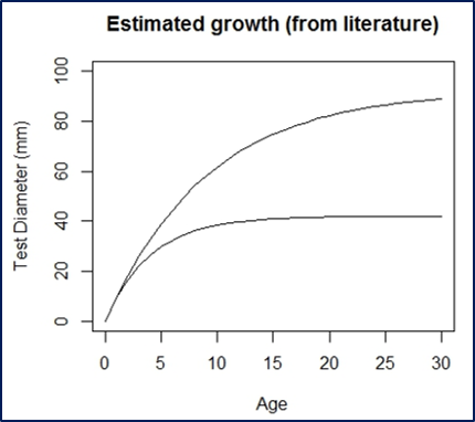 Growth curve for Strongylocentrotus droechiensis based on  published estimates of von Bertalanffy parameters.